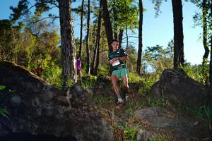 BIB: 
                            <button type="button" onclick="openModal(18914933)" class="btn btn-primary btn-sm float-right btn-popup" data-toggle="modal" data-target=".modal-high-quality">
                        <i class="fas fa-shopping-cart"></i> Add to Cart
                    </button>
                                            <button type="button" onclick="isThisMe(18914933, true)" class="btn btn-success btn-sm float-right btn-popup btn-isme hidden" data-toggle="tooltip" data-placement="bottom" title="นี่คือรูปของคุณใช่ไหม คลิกที่นี่เพื่อเอาเข้าอัลบั้ม">
                        <i class="fas fa-plus"></i> Add to album
                    </button>
                    <button type="button" onclick="isThisMe(18914933, false)" class="btn btn-warning btn-sm float-right btn-popup btn-isnotme hidden">
                        <i class="fas fa-ban"></i> Remove from album
                    </button>